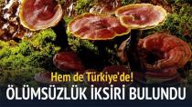 Türkiye'de Ölümsüzlük İksiri Bulundu