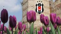 Kartal'da Lale Devri!